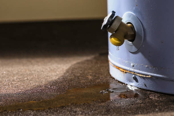 Best Local water damage restoration  in Morrow, OH