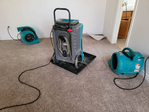 Best Professional water damage repair  in Morrow, OH