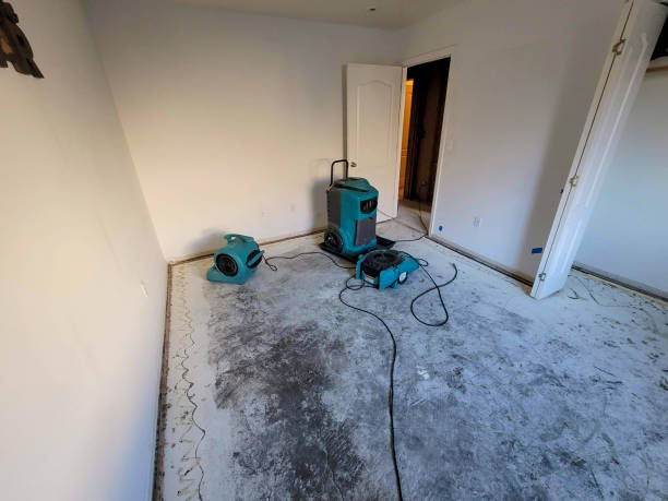Best Water damage restoration specialists  in Morrow, OH