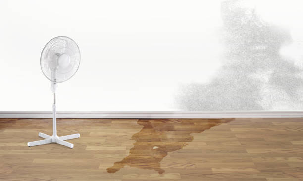 Best Flooded house restoration  in Morrow, OH