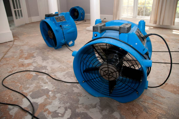 Best Flood restoration services  in Morrow, OH