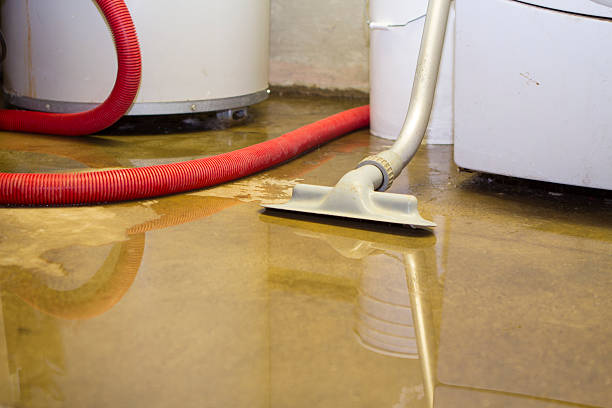 Best Flooded house restoration  in Morrow, OH
