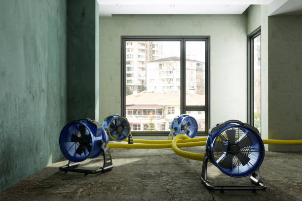 Best Water damage restoration process  in Morrow, OH