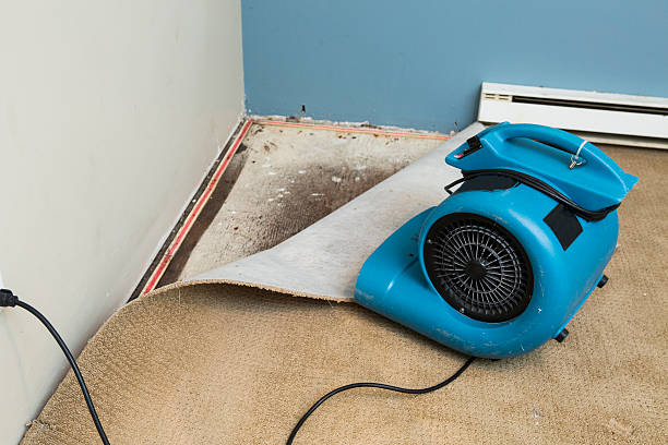 Best Fire Damage Restoration  in Morrow, OH